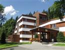 Rodinn hotel v klidn csti zpadnch Krkono Vm nabz pobyt v moderne vybavench pokojch se socilnm zarzenm. Soucst hotelu je restaurace s krbem a barem, salnek, billird, detsk koutek, kolic mstnost, sauna, bazn, mase,TV a WI-FI.